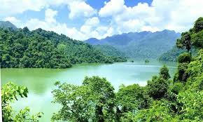quang ngai 13