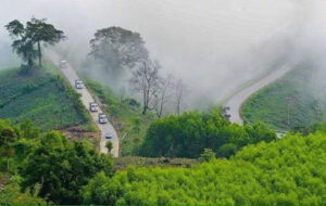 quang ngai 8
