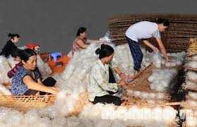 bac ninh a10