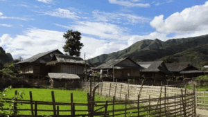lai chau 5
