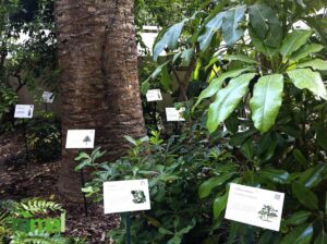 QR code ưng dụng trồng trột nông nghiệp